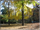 foto Giardini di Porta Venezia